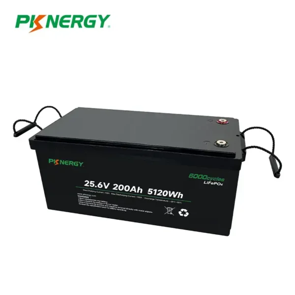 بطارية ليثيوم PKNERGY PK-24200P-N 24V \200AH (5KWh)